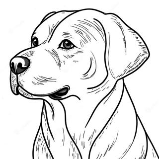 Page A Colorier De Labrador 6394-5107