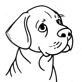 Page A Colorier De Labrador 6394-5204