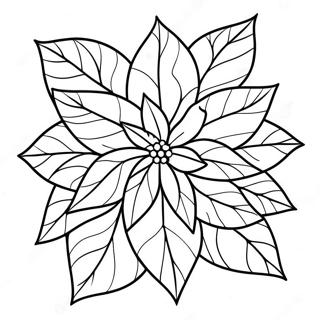 Poinsettia De Noël Pages À Colorier