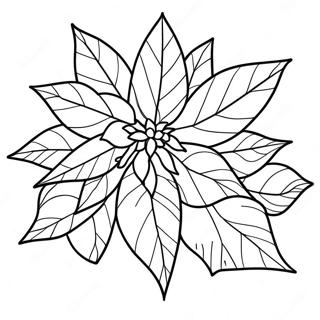 Page A Colorier De Poinsettia De Noel 64920-53662