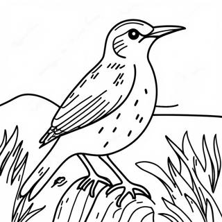 Clipart De L'alouette Des Prairies De L'ouest Pages À Colorier