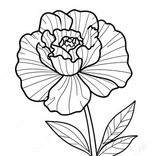 Page A Colorier De Fleur De Oeillet 66170-54650