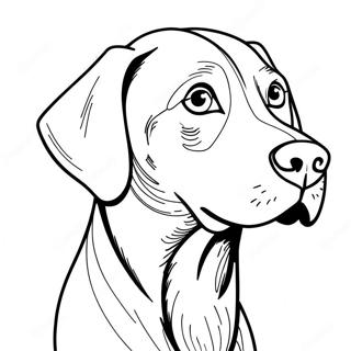 Page A Colorier Chien Weimaraner 66440-54894