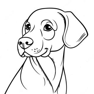 Page A Colorier Chien Weimaraner 66440-54896