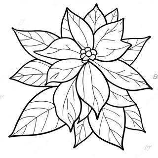 Modèle De Poinsettia Pages À Colorier