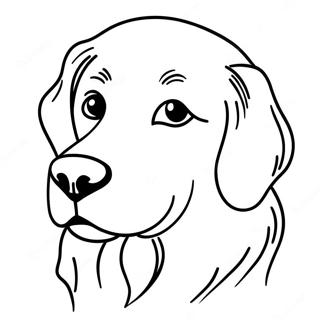 Page A Colorier Golden Retriever 701-560