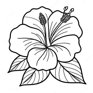 Hibiscus Pages À Colorier