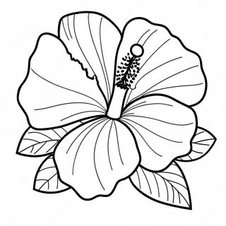 Page A Colorier Fleur Dhibiscus 7044-5730