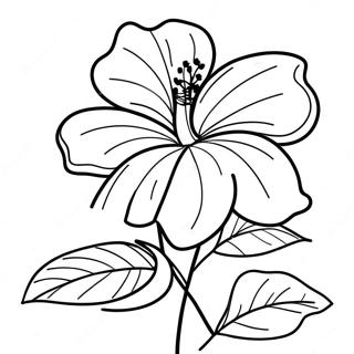 Page A Colorier Fleur Dhibiscus 7044-5731