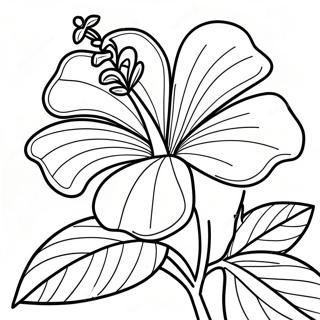 Page A Colorier Fleur Dhibiscus 7044-5732