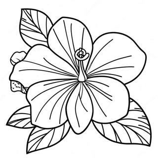 Page A Colorier Hibiscus Tropical 7045-5733