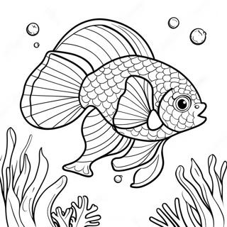 Poisson Betta Pages À Colorier