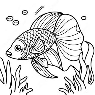 Page A Colorier Poisson Betta Nageant Dans Un Recif De Corail 71043-58719