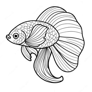 Page A Colorier Poisson Betta Colore Avec Nageoires Flottantes 71044-58721