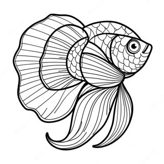 Page A Colorier Poisson Betta Colore Avec Nageoires Flottantes 71044-58723