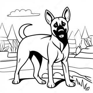 Page A Colorier Malinois Belge Joueur 72875-60171