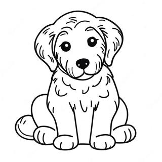 Page A Colorier Chiot Goldendoodle 7934-6444