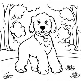 Page A Colorier Goldendoodle Duveteux Jouant Dans Le Parc 7935-6446