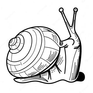 Page A Colorier Escargot 8565-7014