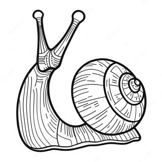 Page A Colorier Escargot 8565-7015