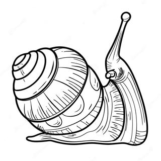 Page A Colorier Escargot 8565-7016