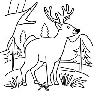 Page A Colorier De Scene De Chasse Avec Un Cerf 971-774